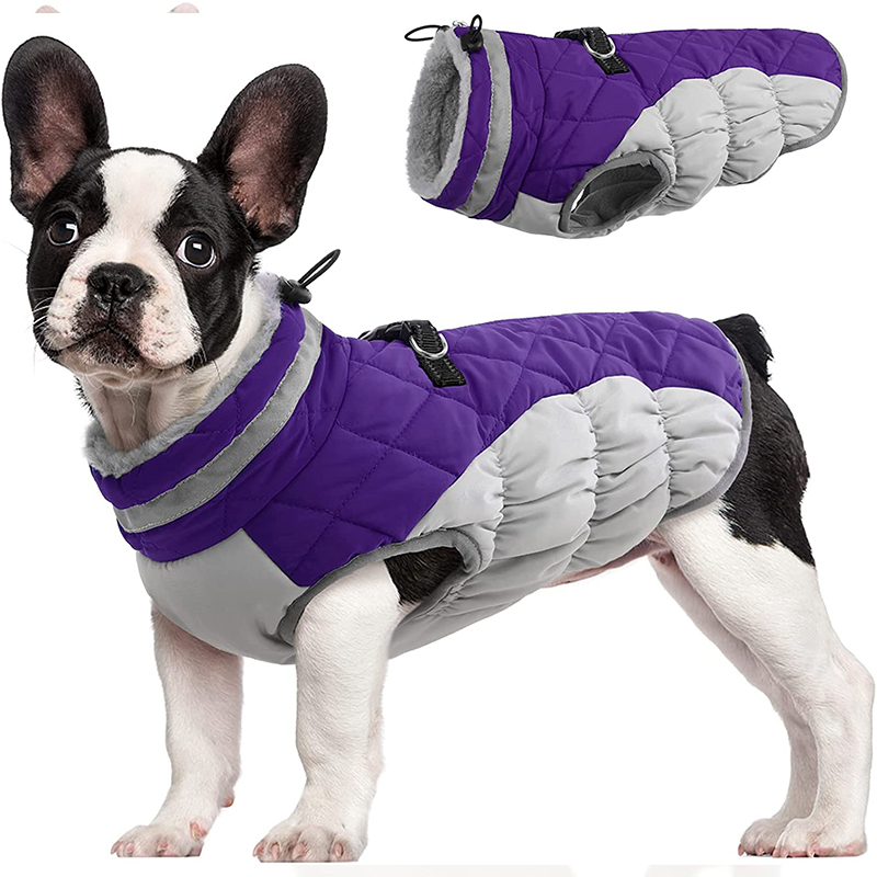 zipped dog coats